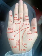 能正在必然程度上反映个别的内正在特 